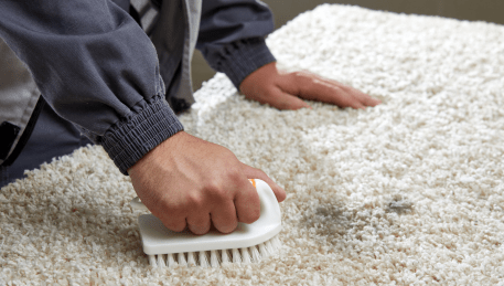 Professional Rug Cleaning Mount Clear