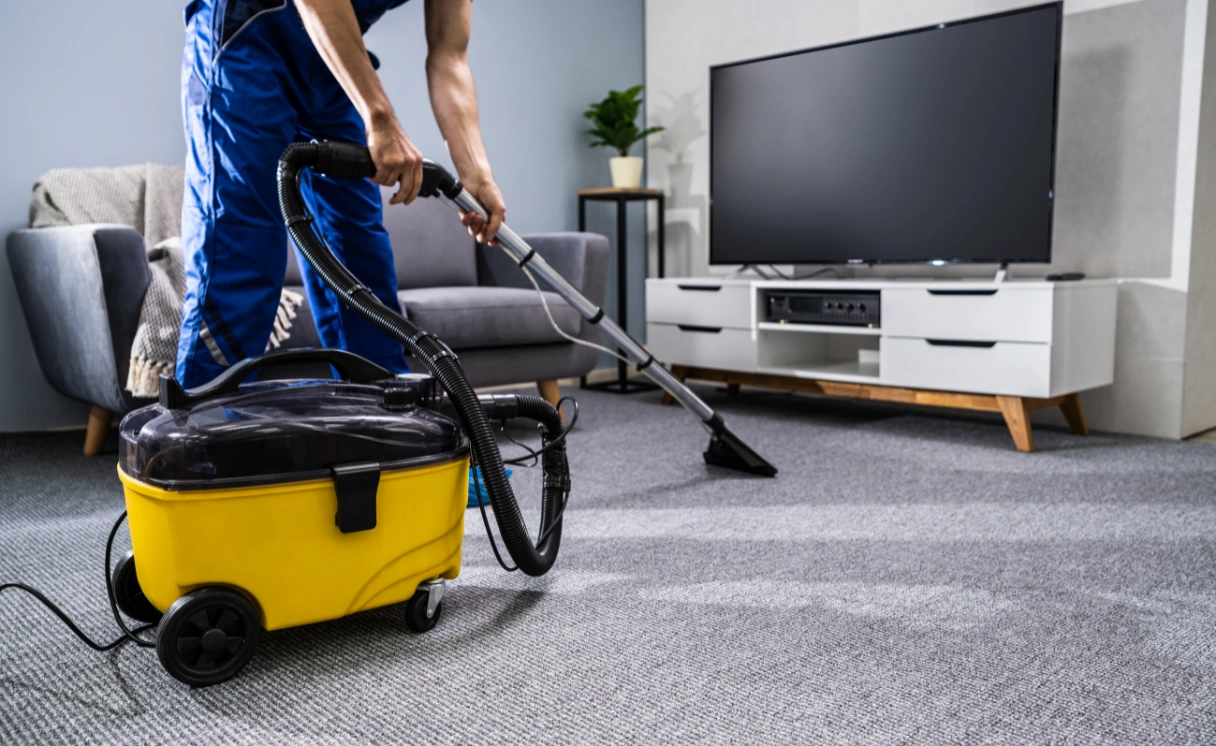 Extract Rug Cleaning Mount Clear Contact Office